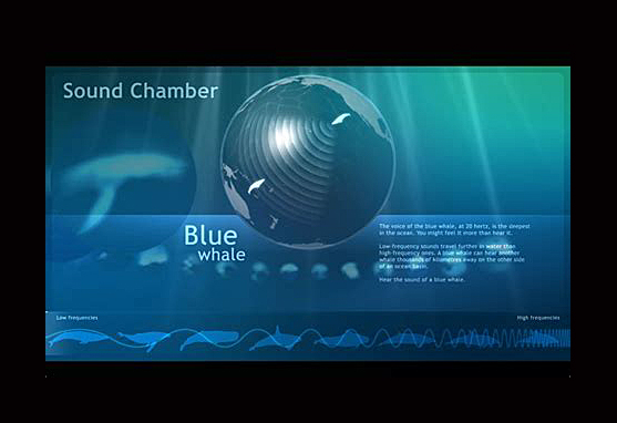 whale song sound waves. duckduckgo.com